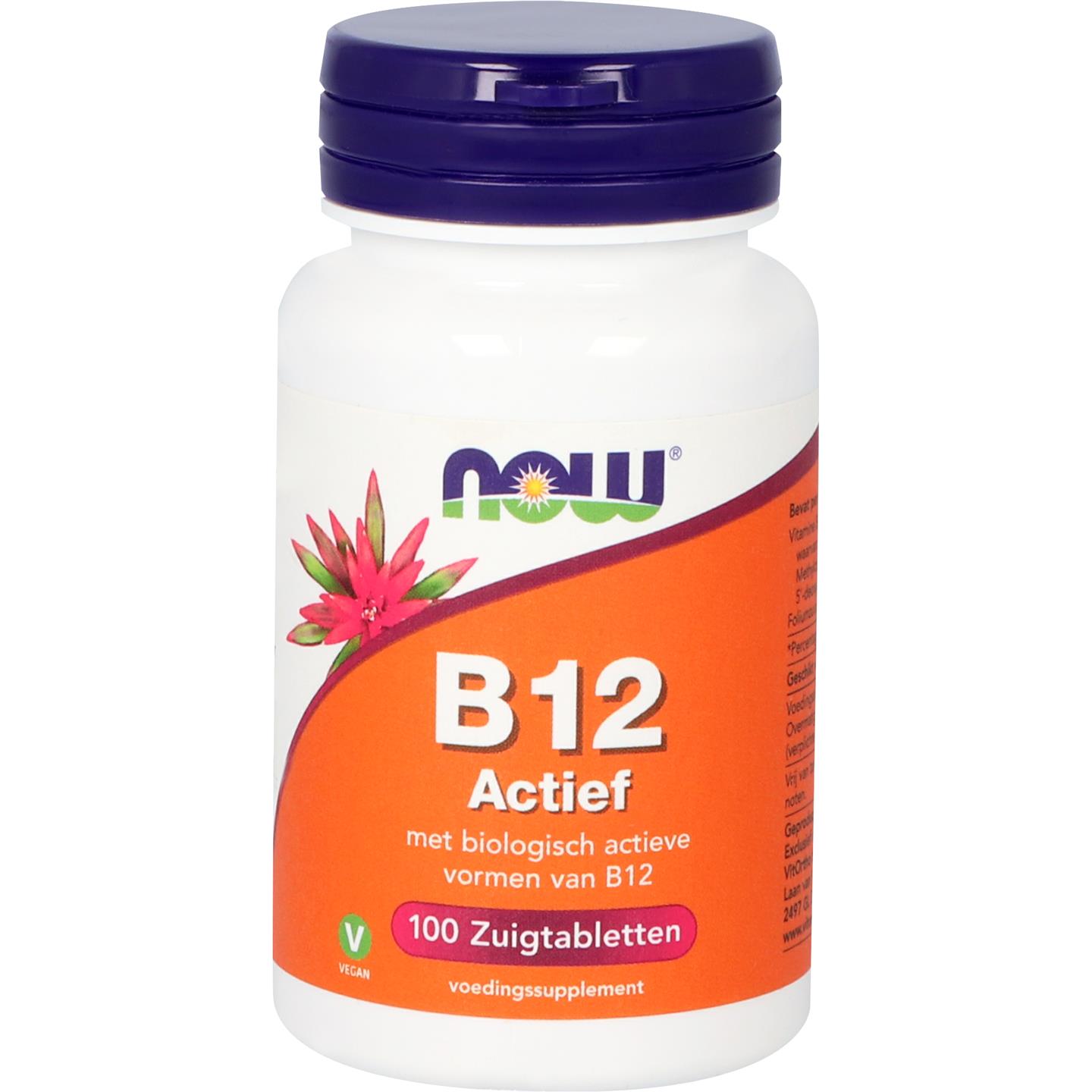 B12 Actief