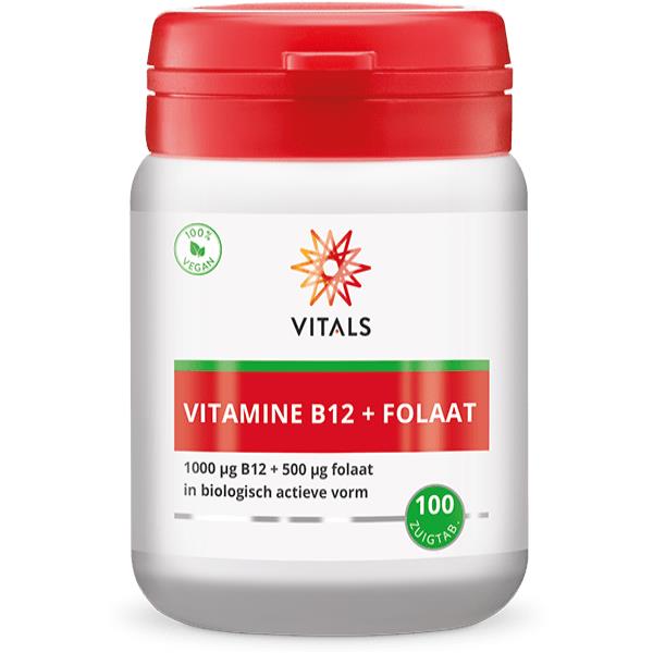 Vitamine B12 1000 mcg met folaat 500 mcg